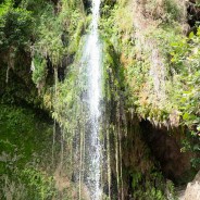 Relaxing in En Gedi
