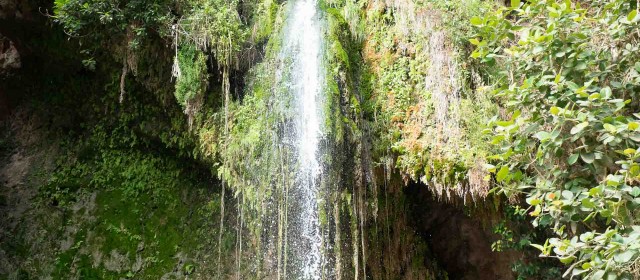 Relaxing in En Gedi