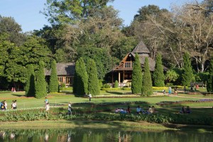 The Botanic Gardens - what a place!