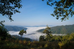Sea of fog in the hills of Chiang Mai
