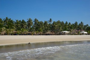 A beach as one imagines it. 