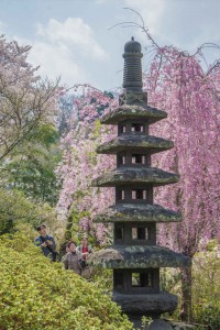 Hanamiyama Park.