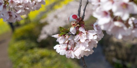 Fukushima, Japan