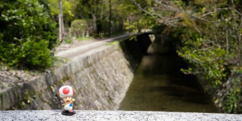 Kyoto, Japan